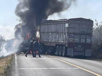 NarcoMorena No Está Manca